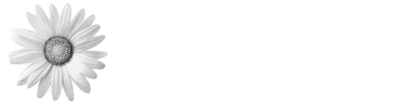 implenia_logo_white